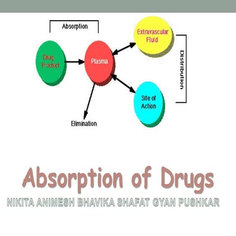 Drug absorption 
