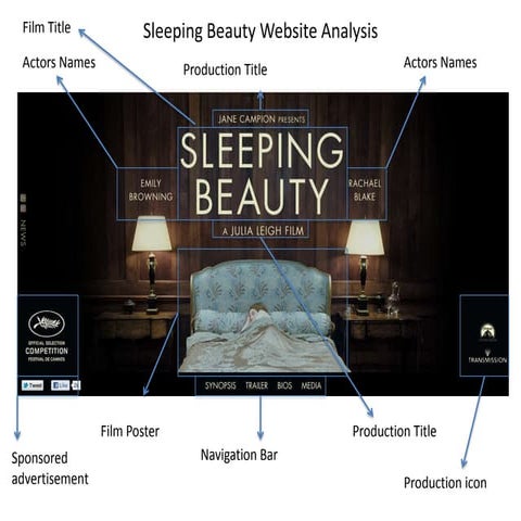 Sleeping Beauty Website Anaylsis
