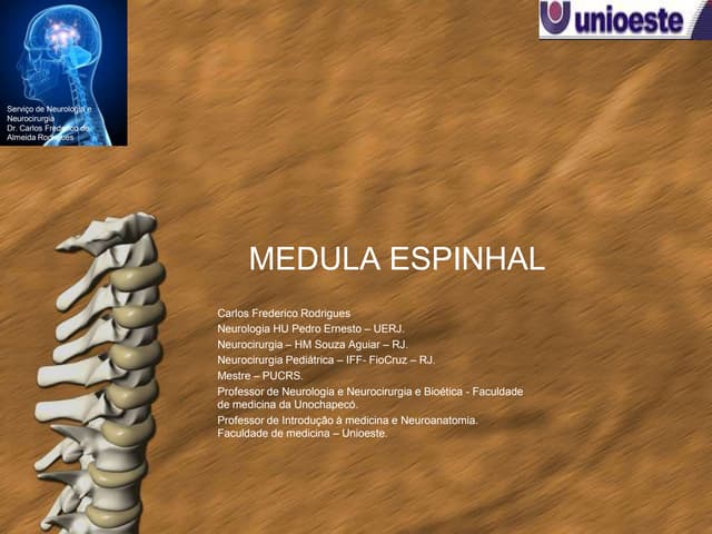 Medula espinhal
