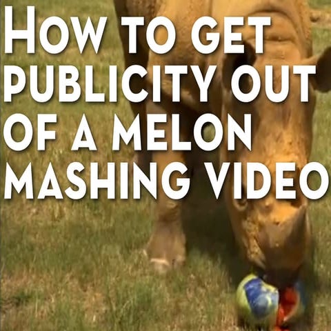 How To Get  Publicity Out  of a Melon Mashing Video