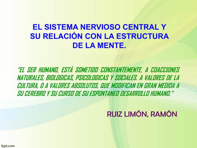 Mente humana y el sistema nervioso