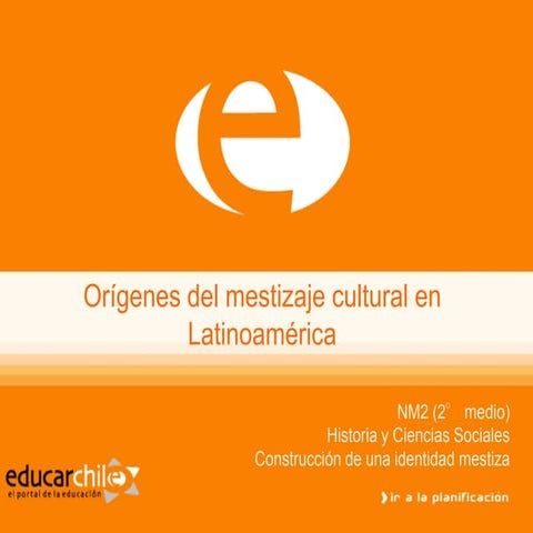Mestizaje cultural