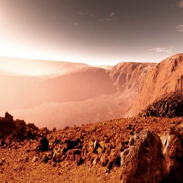 Rapid response congres MET Amsterdam 2015