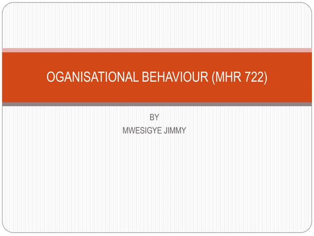 MHR722 CLASS NOTES.ppt organisational behaviour
