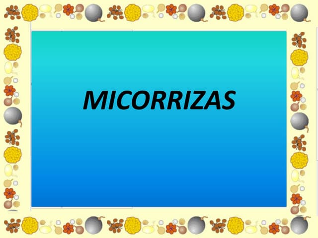 Micorrizas