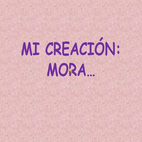 Mi creación