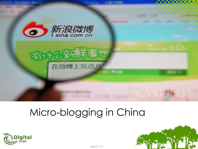 Introducing Micro-Blogging in China