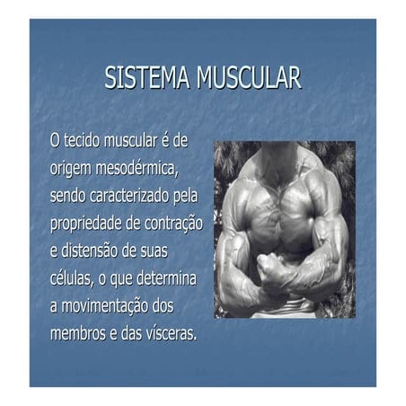 Microsoft power point   aula 7 sistema muscular 1