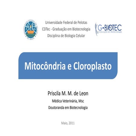 Mitcondria e cloroplasto