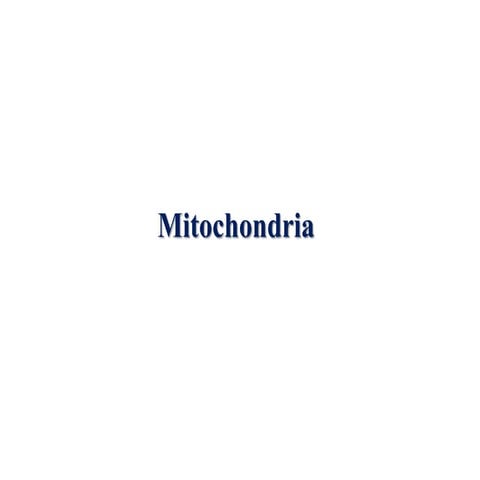 Mitochondria1