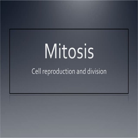 Mitosis