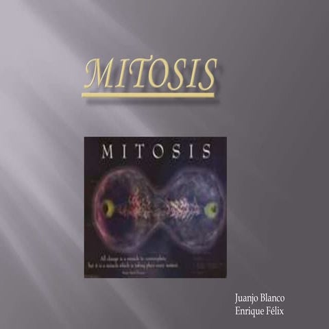 Mitosis trabajo de biologia