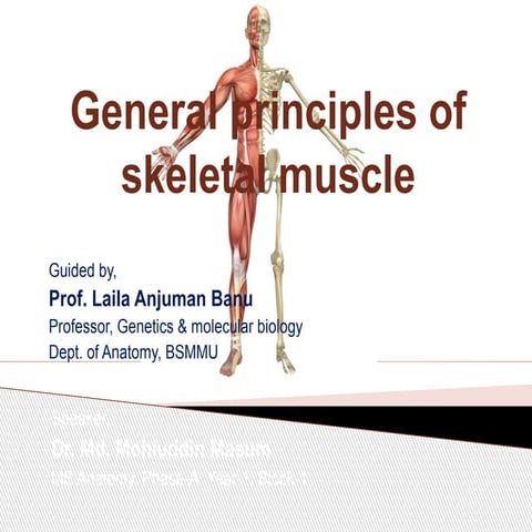 General principles of skeletal muscle