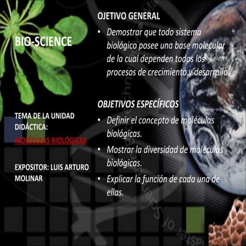 MoléCulas Biológicas