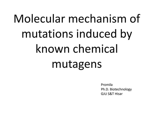 Molecular mechanism of induced mutations
