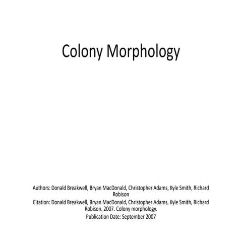 morphological chracteristics of bacteria.pptx