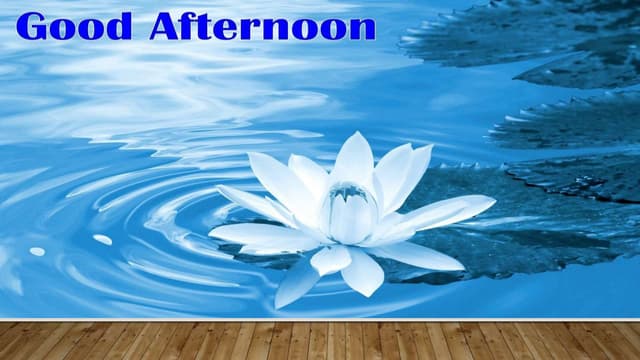 Morphology and life cycle of malarial parasite -human phase