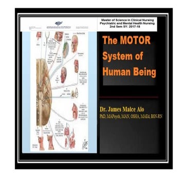 Motor system of human being- PART 2..drjma.pdf