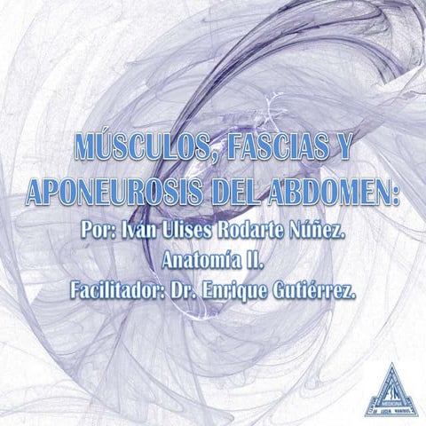 Músculos, fascias y aponeurosis del abdomen