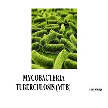 Mycobacterium Tuberculosis