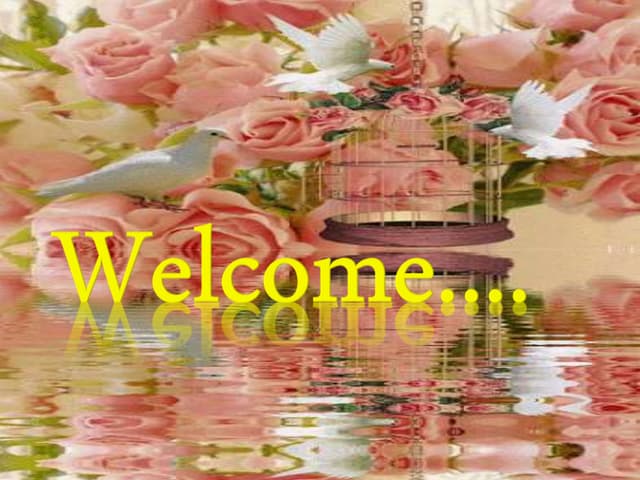 Multiple pregnancy 1