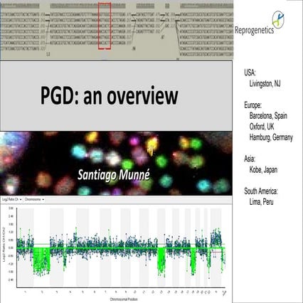 Munneoverviewpgdchina200911withsound 12588814598727-phpapp02 (1)