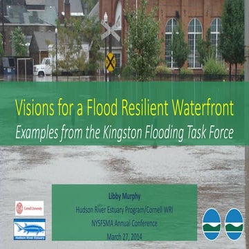 Visions for a Flood Resilient Waterfront: Examples from the Kingston Floodin...