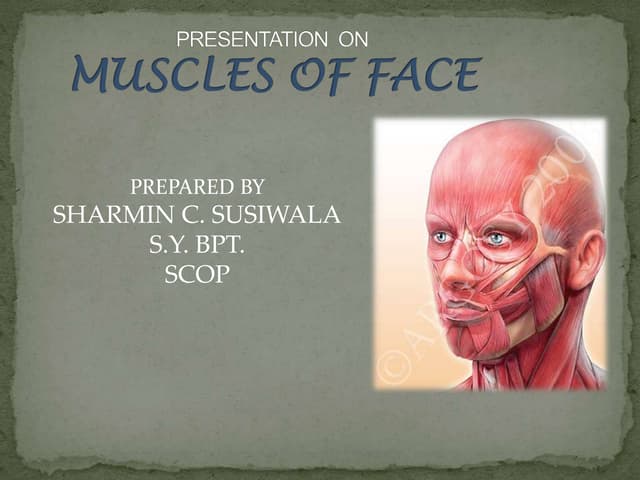 Muscles of face 