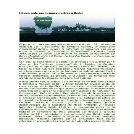 México cede sus bosques y selvas a Redd+