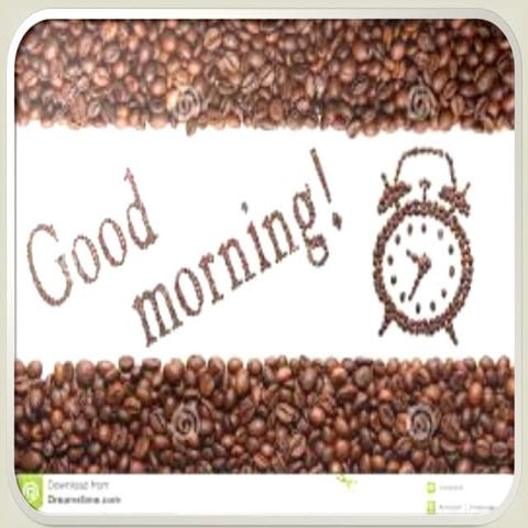 PDL, PERIODONTAL LIGAMENT. 