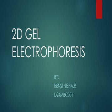 2D GEL ELECTROPORESIS FOR PROTEIN ANALYSIS