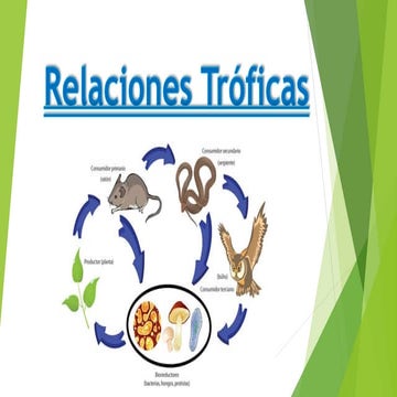 Relaciones Tróficas
