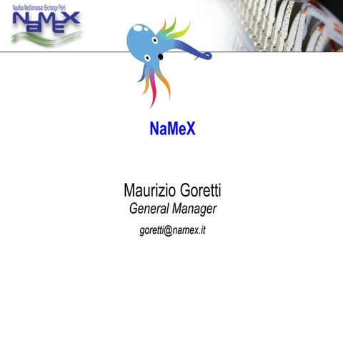 NaMeX Rome (Italy) Internet Exchange Point Update