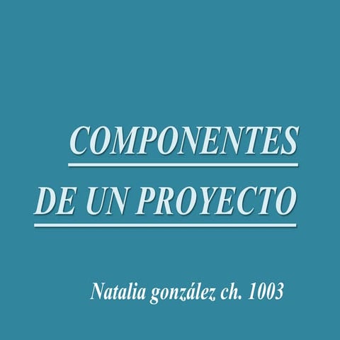 componentes de un proyecto