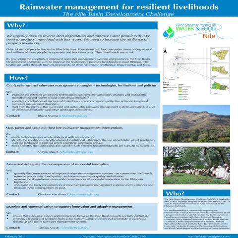 Shoats in the forest