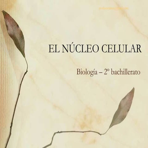 Núcleo celular 2011