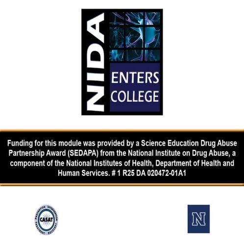 Module 2: The Neurobiology of Addiction