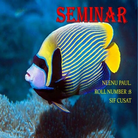 Neenu self presentation