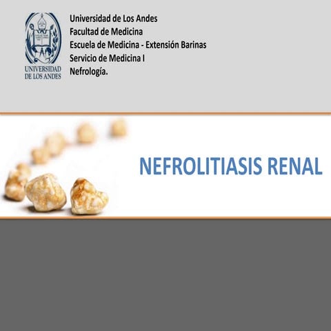 NEFROLITIASIS RENAL