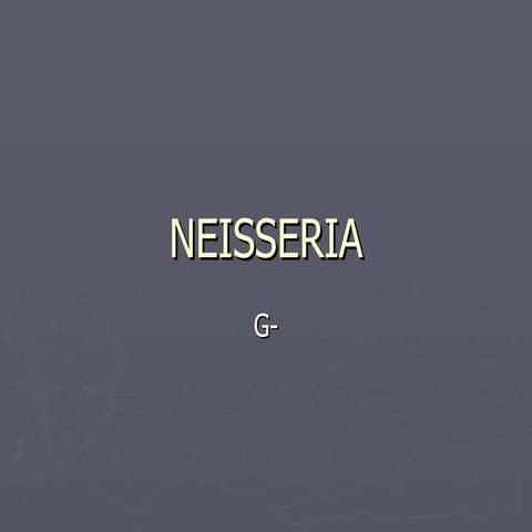 Neisseria