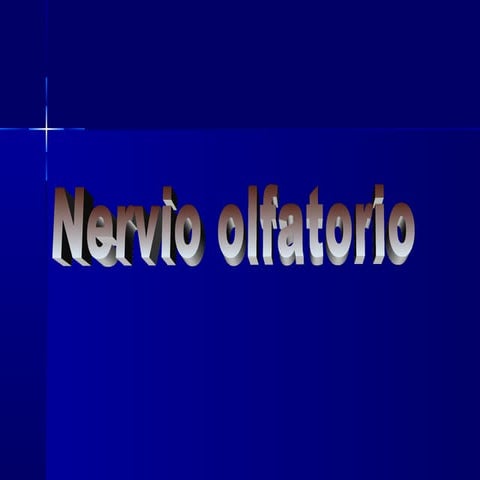 Nervio olfatorio