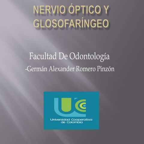 Nervio óptico y glosofaríngeo