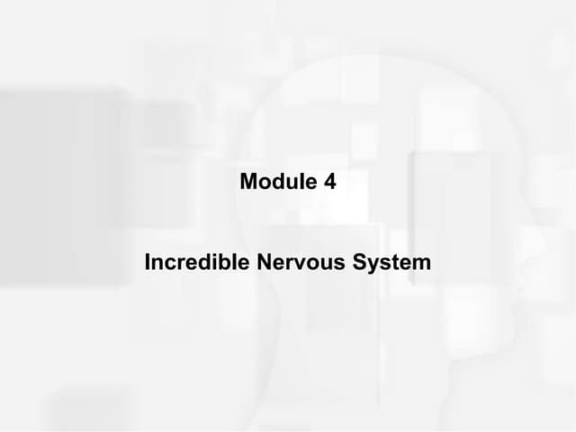 Nervous System.ppt