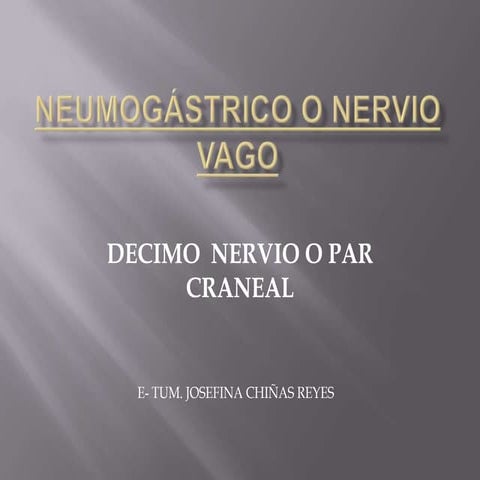 Neumogástrico o nervio vago