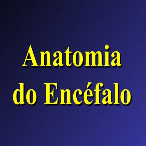 Neuroanatomia II