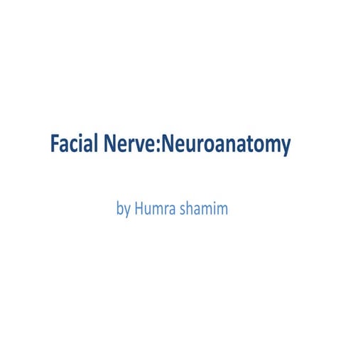 facial nerve:neuroanatomy