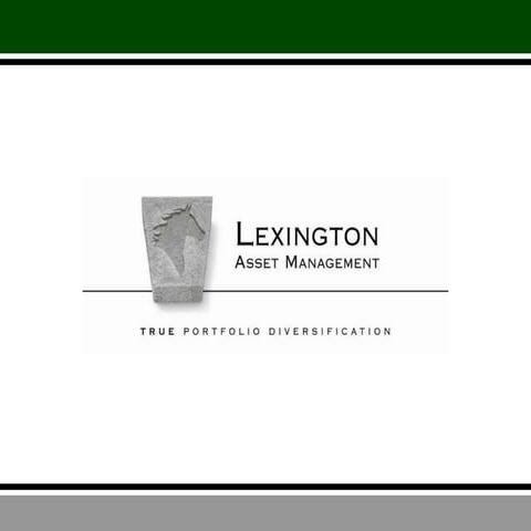 True Portfolio Diversification 