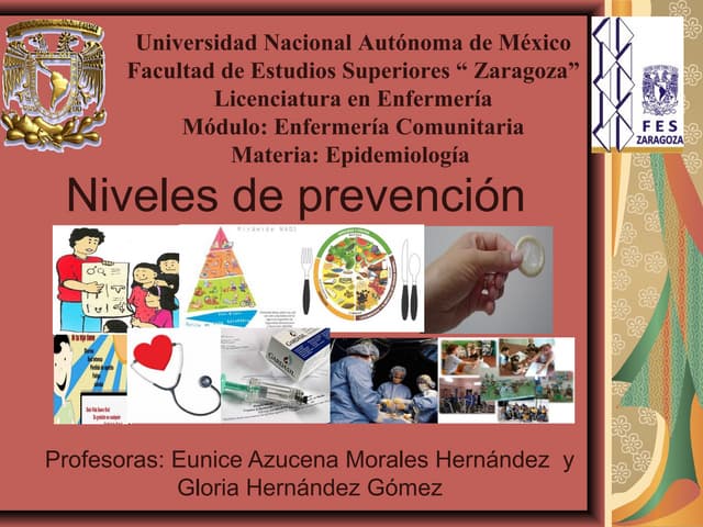 Niveles de prevenciónpresentación1