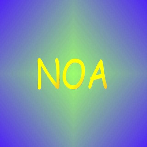 Noa 31