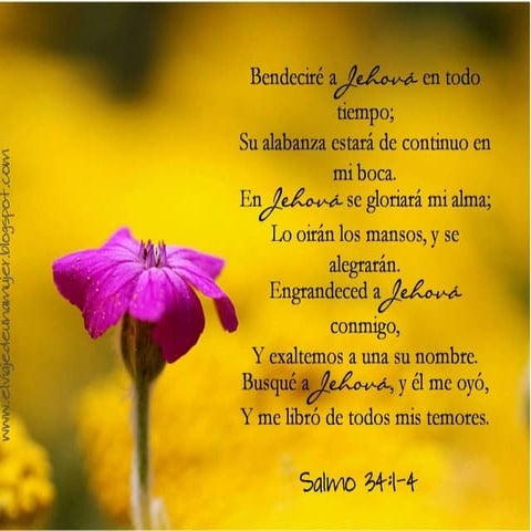 No dejar de congregarse